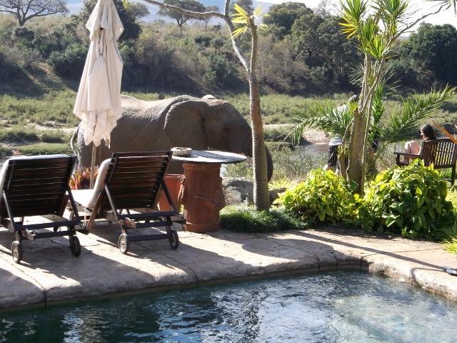 Khandizwe Kruger Villa Malalane Habitación foto